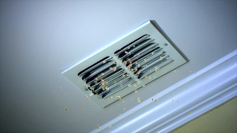 Best Affordable Duct Cleaning Services  in Weeping Water, NE