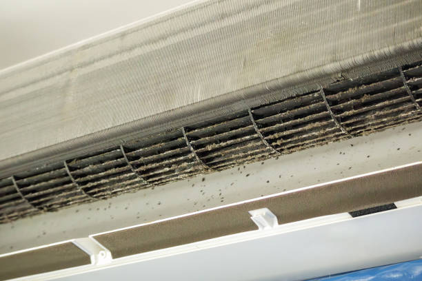 Best Best Air Duct Cleaning Company  in Weeping Water, NE
